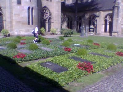 WYD00183.jpg
